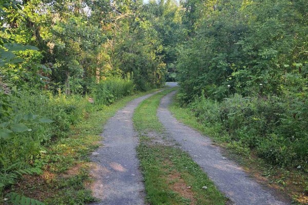 Pt Lt16 North Lunenburg Road W, South Stormont, ON, photo 3