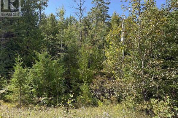 Pt Lt35 Con 3 Wbr Pt 77 Concession, Northern Bruce Peninsula, ON N0H1W0 Photo 5