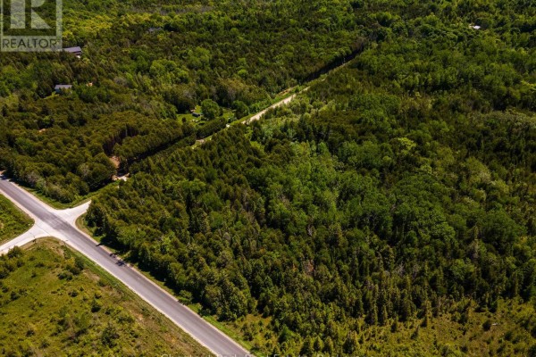 Pt Lt5 3, Northern Bruce Peninsula, ON N0H1W0 Photo 5