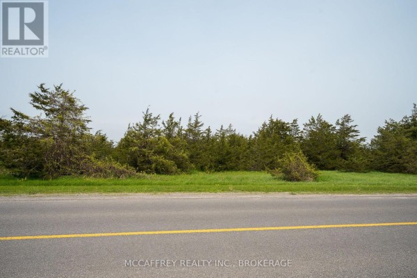 Roadside view of a treeline with scattered bushes and a clear blue sky overhead. - Pt Lt63 County Rd 7, Prince Edward County