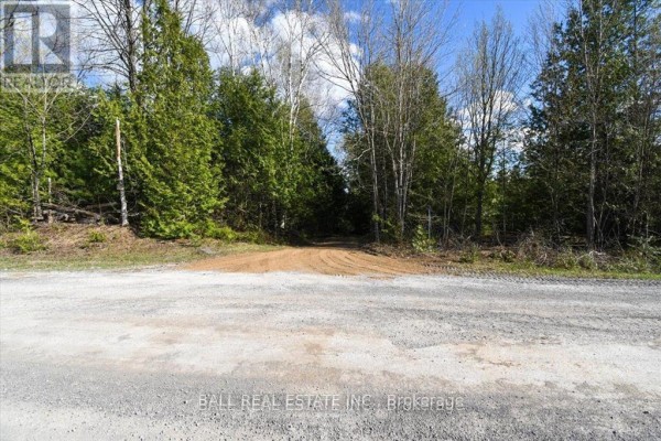 Pt Lts 11 & 12 As Part 2, Clydesdale Road, North Kawartha, ON K0L1A0 Photo 3
