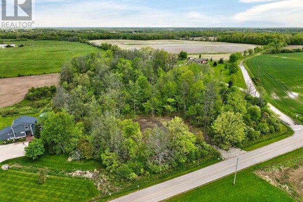 Pt S1/2 Lot 36 Link Road, Haldimand, ON, photo 3