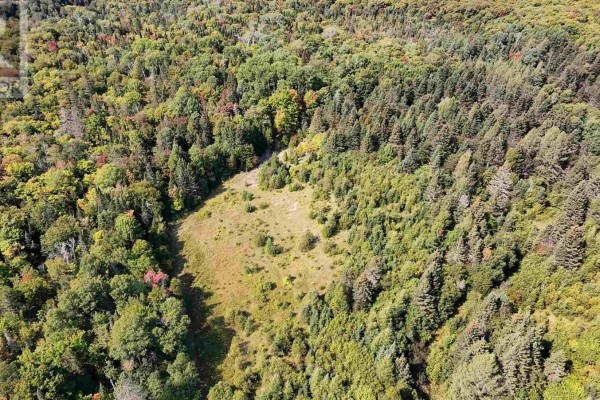 Pt Sec 37 & 38 Off Pickard Rd, Havilland, ON P0S1A0 Photo 4