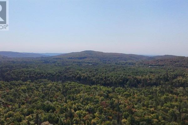 Pt Sec 37 & 38 Off Pickard Rd, Havilland, ON P0S1A0 Photo 5