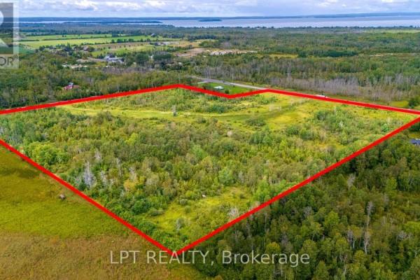 Pt W1/2 Lt 23 Baseline Road, Georgina, ON L0E1R0 Photo 2