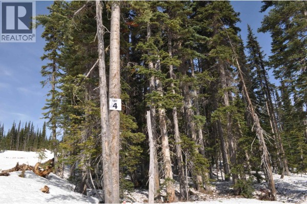 Pt. St 4 Alpine Way, Smithers, BC V0J2N0 Photo 2