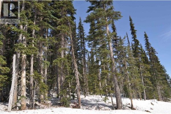 Pt. St 4 Alpine Way, Smithers, BC V0J2N0 Photo 3