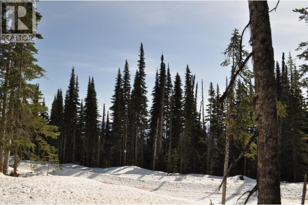 Pt. St 4 Alpine Way, Smithers, BC V0J2N0 Photo 4