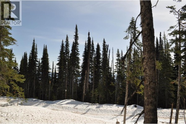 Pt. St 4 Alpine Way, Smithers, BC V0J2N0 Photo 5