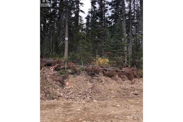Pt. St Lt 7 Alpine Way, Smithers, BC V0J2N0 Photo 4