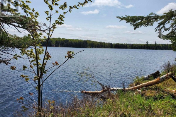 Pt4,5,6 Cadden Lake, Parry Sound Remote Area, ON P0H1A0 Photo 5