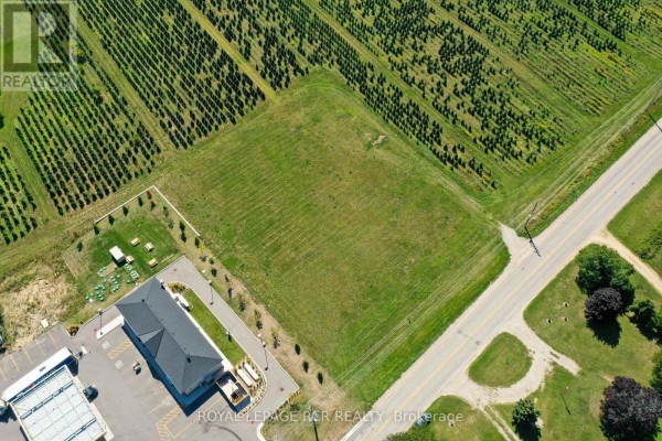Ptlot10 Con 6 Ehs, Mulmur, ON L0N1M0 Photo 5
