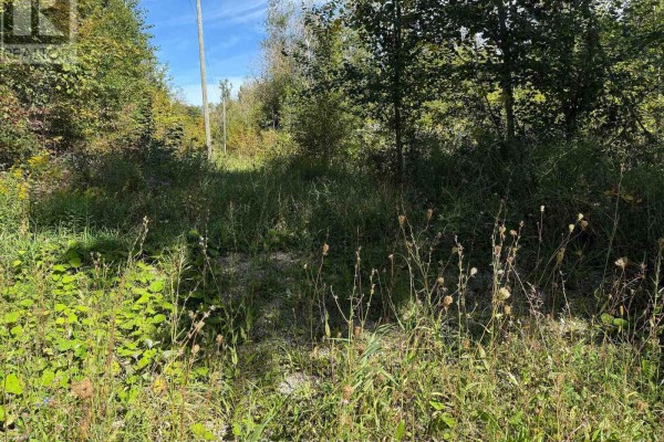 Ptlt 16 Sideroad 16a, Grey Highlands, ON N0C1H0 Photo 3