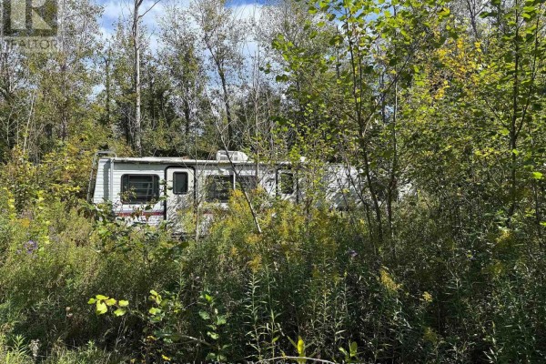 Ptlt 16 Sideroad 16a, Grey Highlands, ON N0C1H0 Photo 5