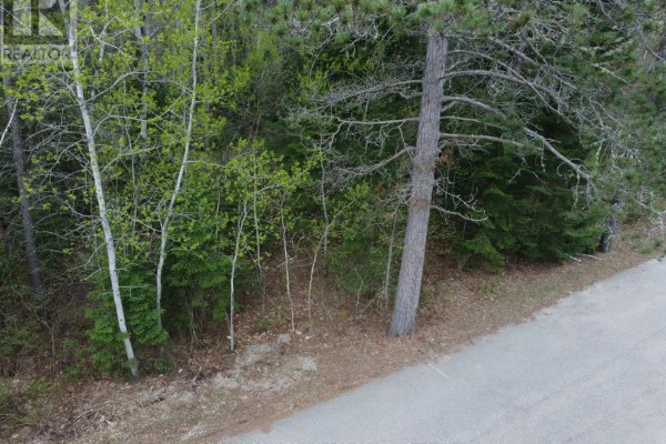 Ptlt 177/8 Murray Park Street, Madawaska Valley, ON K0J1B0 Photo 2