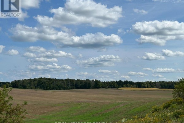 Ptlt 29 2nd Line, Amaranth, ON, photo 2