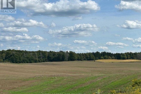 Ptlt 29 2nd Line, Amaranth, ON, photo 3