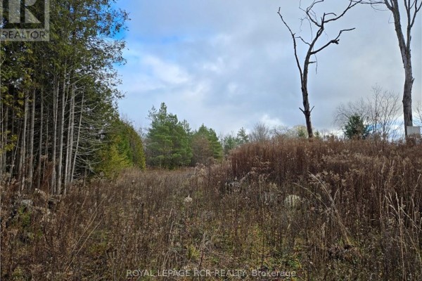 Ptlt8es Salter Street, Chatsworth, ON, photo 2