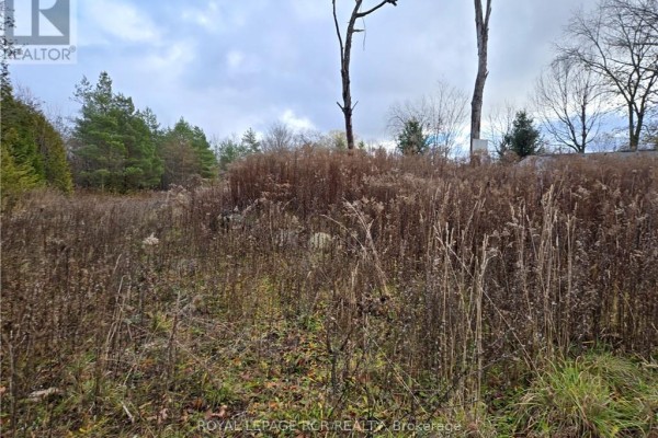 Ptlt8es Salter Street, Chatsworth, ON, photo 3