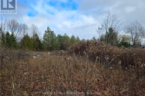 Ptlt8es Salter Street, Chatsworth, ON N0H2V0 Photo 4
