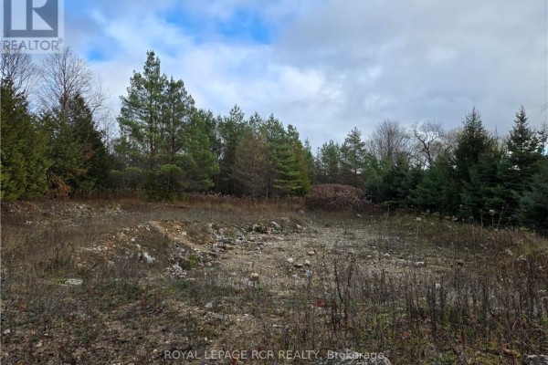 Ptlt8es Salter Street, Chatsworth, ON N0H2V0 Photo 5