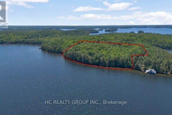 R60- Pt5 Tobins Island, Muskoka Lakes, ON P0B1J0 Photo 4