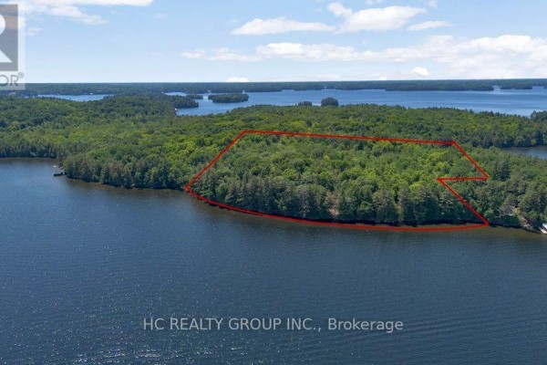 R60- Pt5 Tobins Island, Muskoka Lakes, ON P0B1J0 Photo 5