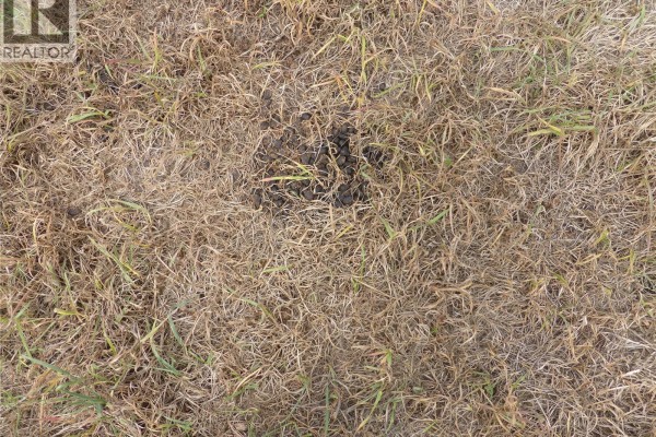 145 Acres, Rm Of Mervin, Mervin Rm No 499, SK S0M2T0 Photo 4