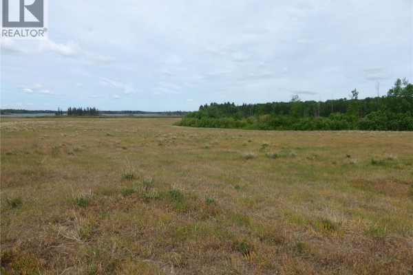 145 Acres, Rm Of Mervin, Mervin Rm No 499, SK S0M2T0 Photo 5