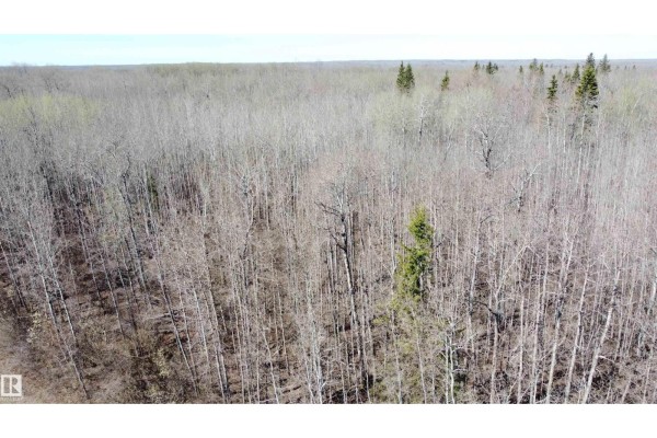 Range Rd 113 Lakeland County, Rural Lac La Biche County, AB T0A2T0 Photo 4