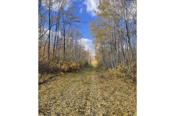 Range Rd 113 Lakeland County, Rural Lac La Biche County, AB T0A2T0 Photo 5