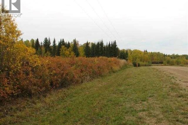 Range Road 142 Highway 55  S, Lac La Biche, AB T0A2C0 Photo 5