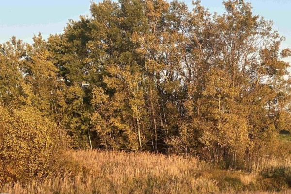 Range Road 225 @ Township 612, Rural Thorhild County, AB T0A3J0 Photo 2