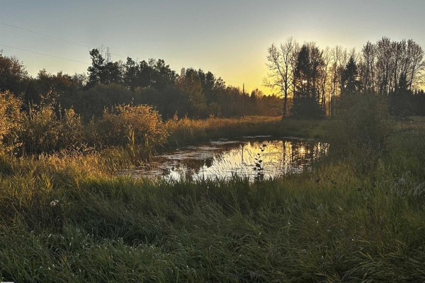 Range Road 225 @ Township 612, Rural Thorhild County, AB T0A3J0 Photo 4