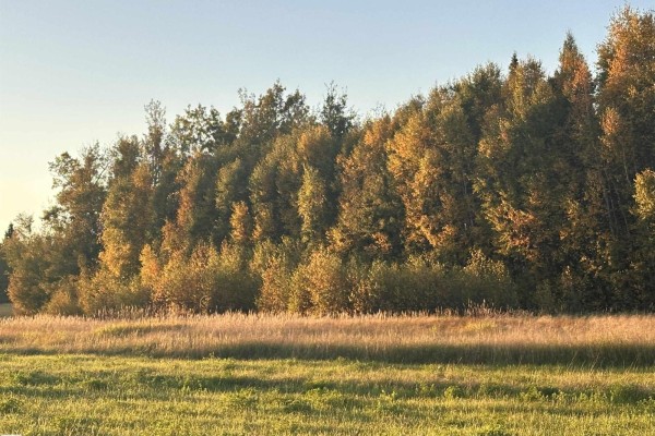 Range Road 225 @ Township 612, Rural Thorhild County, AB T0A3J0 Photo 5
