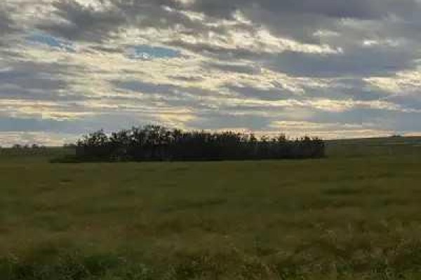 Range Road 263, Rural Kneehill County, AB T0M0A0 Photo 5
