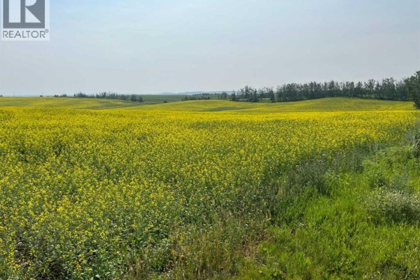 Range Road 263, Rural Red Deer County, AB, photo 3