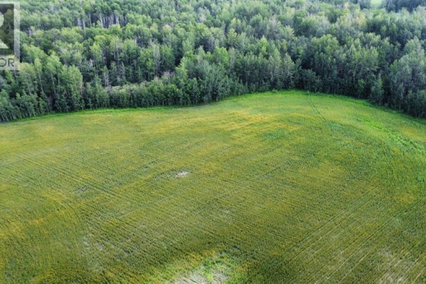Range Road 32, Rural Grande Prairie No  1, County Of, AB T8X4N1 Photo 5