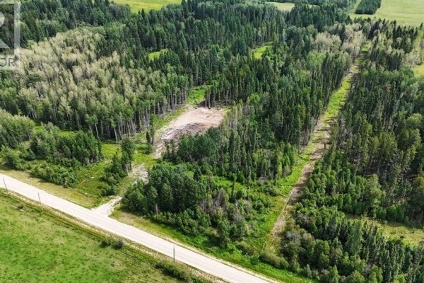 Range Road 85, Rural Brazeau County, AB T7A2A3 Photo 4