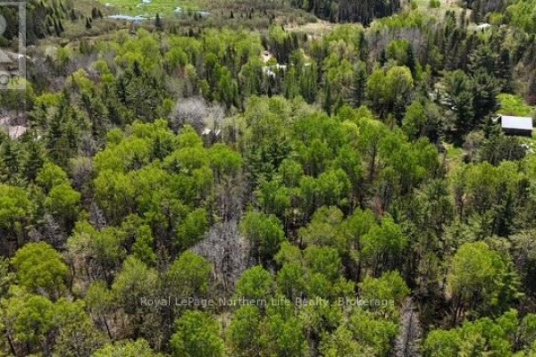 Rd - 576 Hart Road, Callander, ON P0H1H0 Photo 5