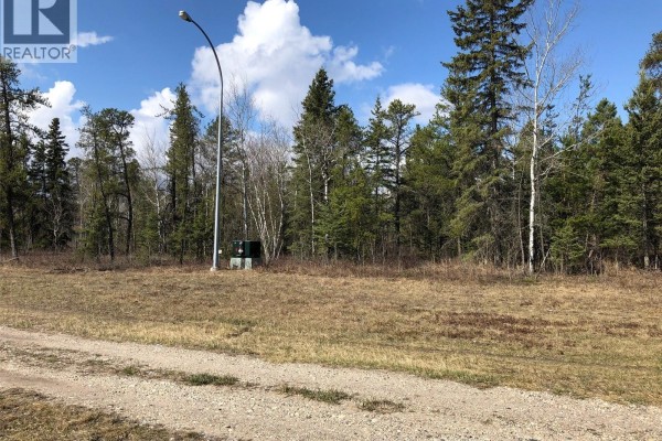 Rec Lot 12/2, Hudson Bay Rm No  394, SK, photo 2