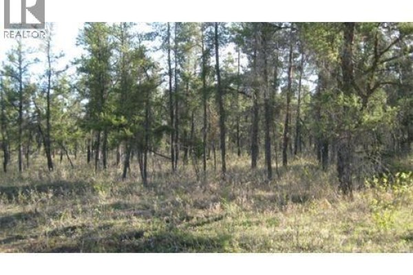 Rec Lot 5 Blk 2, Red Deer River, SK S0E0Y0 Photo 2