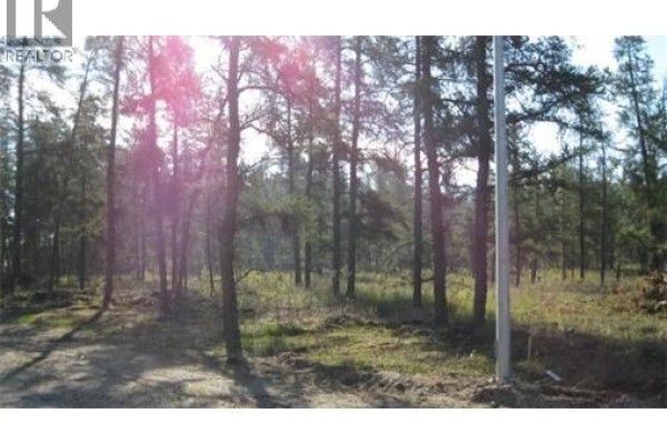 Rec Lot 5 Blk 2, Red Deer River, SK S0E0Y0 Photo 3