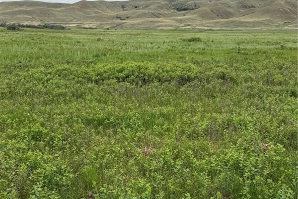 Red Deer River Ranch, Chesterfield Rm No  261, SK S0N1H0 Photo 5