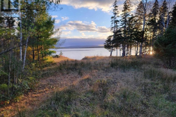 Red Point Road, Red Point, NS B2C1G4 Photo 4