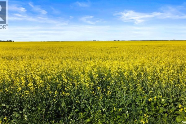 Regina Hwy. 6 North Development Land, Sherwood Rm No  159, SK, photo 3