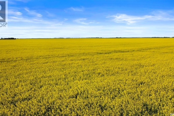 A wide view of a lush green canola field under a bright blue sky. - Regina Hwy. 6 North Development Land, Sherwood Rm No  159