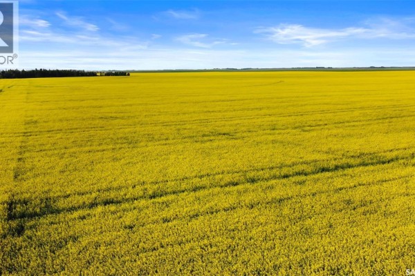 Aerial shot of a large yellow canola field with a treeline in the distance. - Regina Hwy. 6 North Development Land, Sherwood Rm No  159