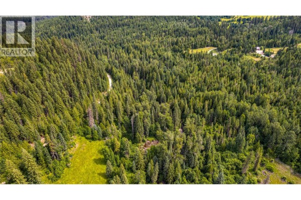 Richlands Road, Cherryville, BC V0E2G1 Photo 3
