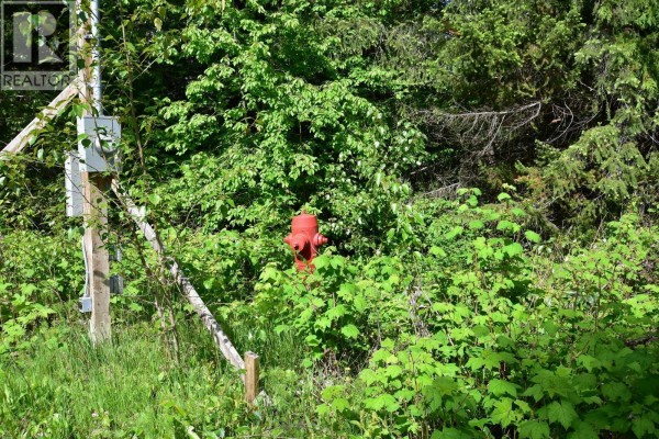 Ridge Road Lot# Lot C, Eagle Bay, BC V0E1T0 Photo 2
